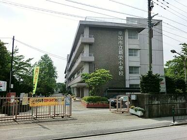 草加市立新栄小学校