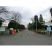 公園