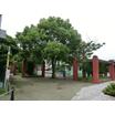 公園
