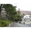 大学