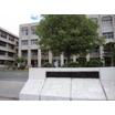中学校