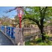 公園