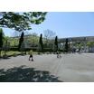 公園
