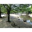 公園
