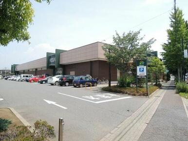 フレッセイ 片貝店