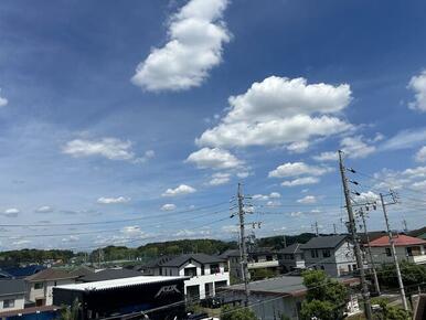 高台なので風通しの良い