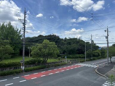 近くには公園もあります