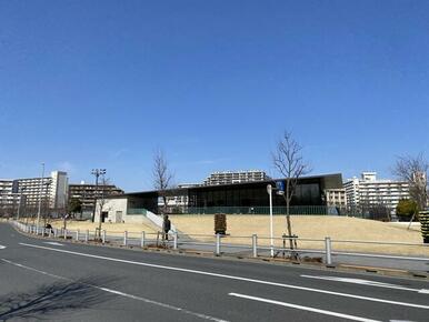 葛飾にいじゅくみらい公園運動場多目的広場