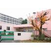 幼稚園、保育園