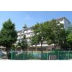 幼稚園、保育園