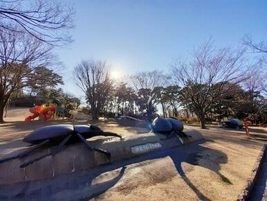華蔵寺公園