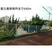 幼稚園、保育園