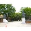 大学