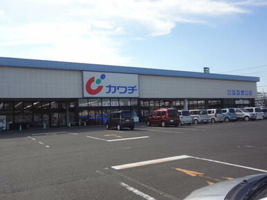 カワチ薬品渋川店