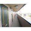共有部分