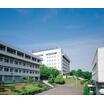 大学