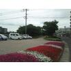 公園