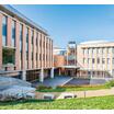 大学