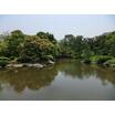 公園