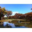 公園