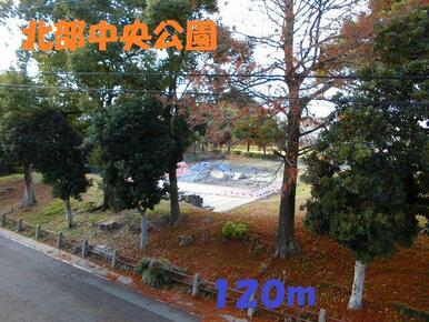 北部中央公園