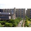 大学