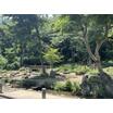 公園