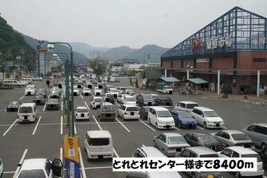 舞鶴港とれとれセンター