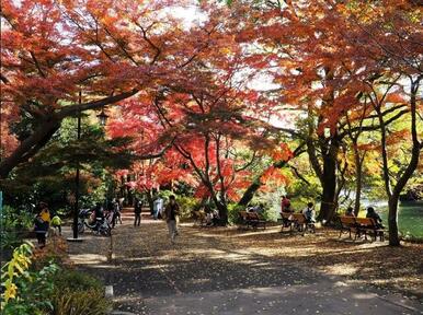 井の頭恩賜公園