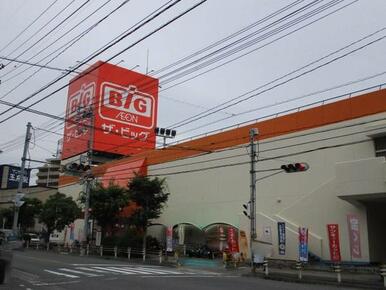 ザ・ビッグ安古市店