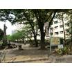 公園