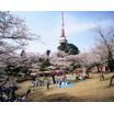 公園