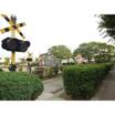 公園