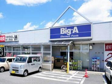 Ｂｉｇ－Ａ　川口芝店