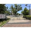 公園