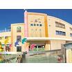 幼稚園、保育園