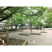 公園