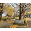 公園