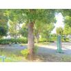 公園