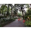 公園