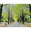 公園