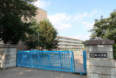 所沢市立林小学校