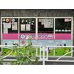 幼稚園、保育園