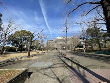 熊本県庁