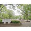 公園