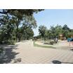 公園