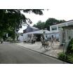幼稚園、保育園