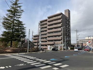 ２０２６年２月撮影