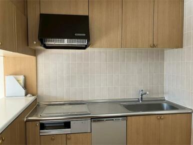 ２０２６年２月撮影