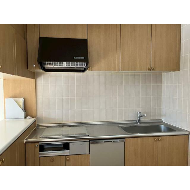 ２０２６年２月撮影